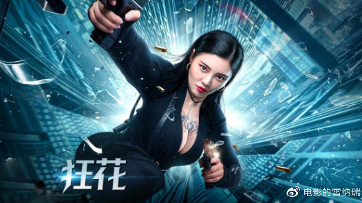 办理假伯利兹护照